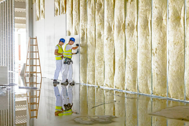 Types of Insulation We Offer in Pine Hills, CA